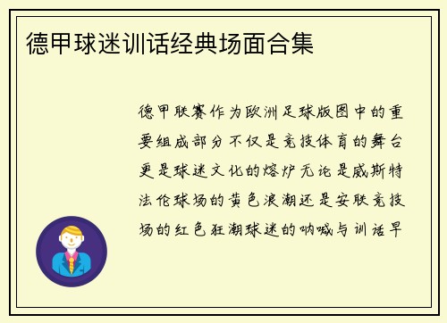 德甲球迷训话经典场面合集